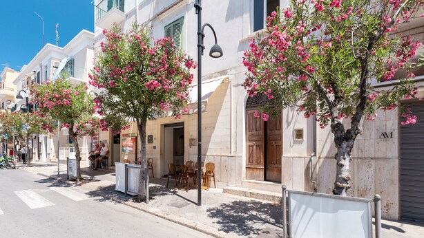 Una calle con edificios, árboles con flores rosadas y una acera.