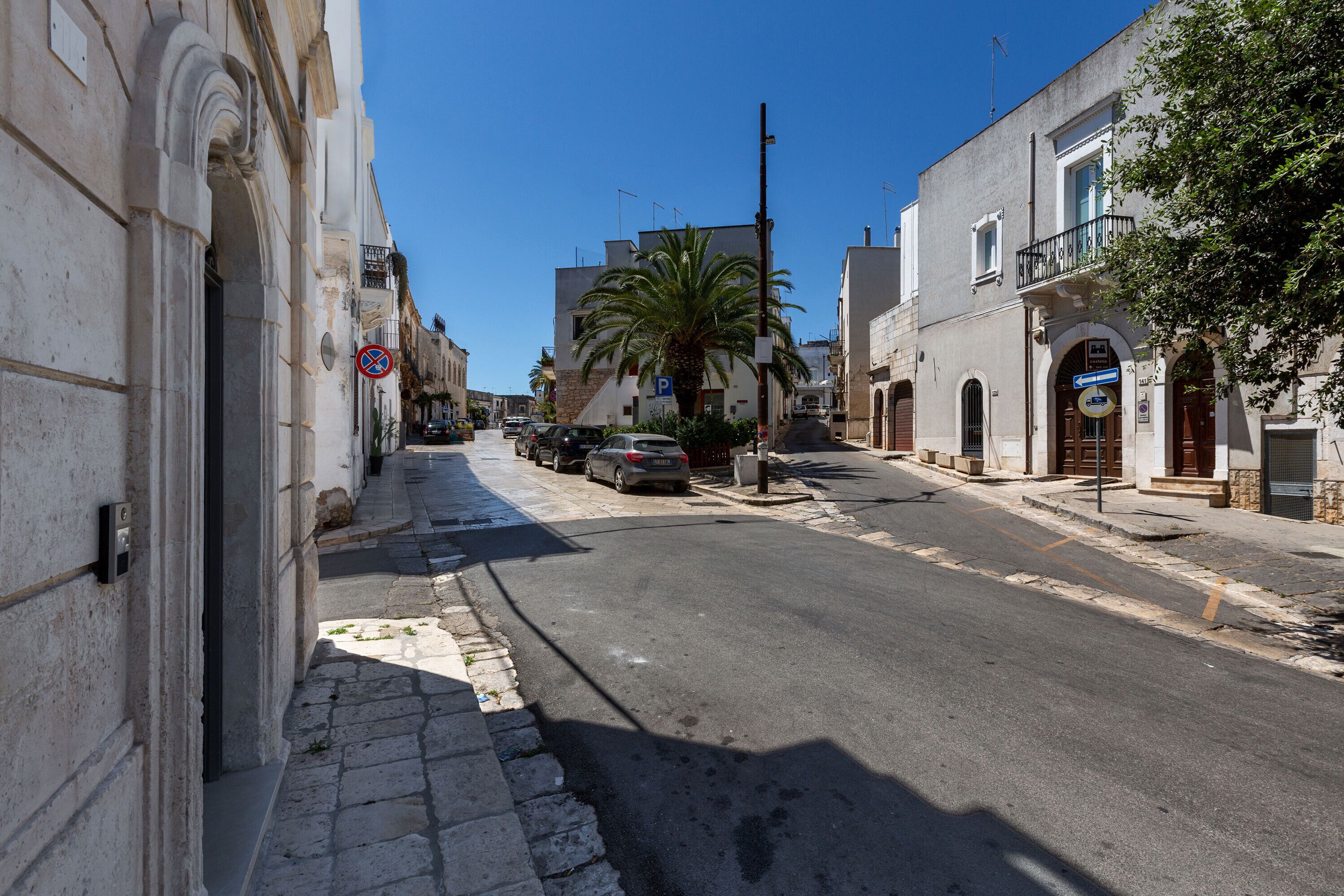 A narrow street with buildings on both sides, a palm tree, and a no parking sign.