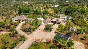 Vista aérea de una propiedad con varias construcciones, un camino de entrada pavimentado y follaje circundante.