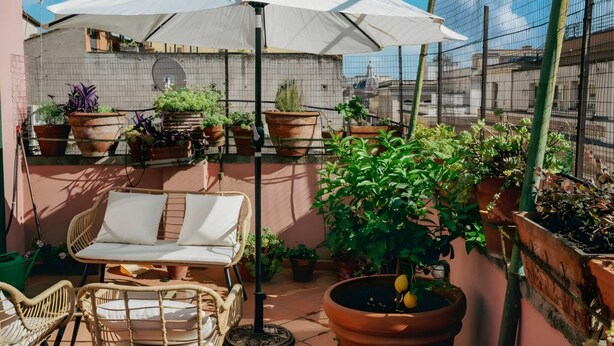 Una terrazza sul tetto con piante in vaso, un ombrellone bianco e mobili in vimini.