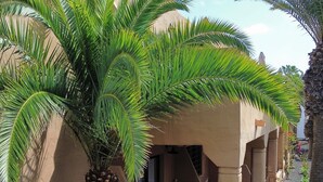 Ein Gebäude mit einer Palme davor, einem überdachten Außenbereich und einem mit Pflanzen bepflanzten Weg.
