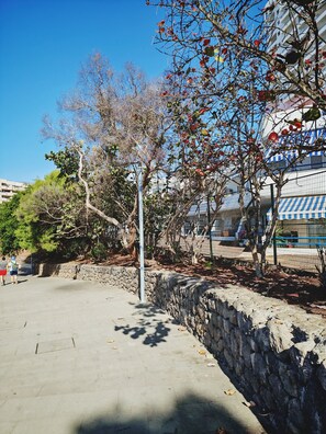 Property grounds - Paraiso del Sur Sea View Apartment (Adeje)
