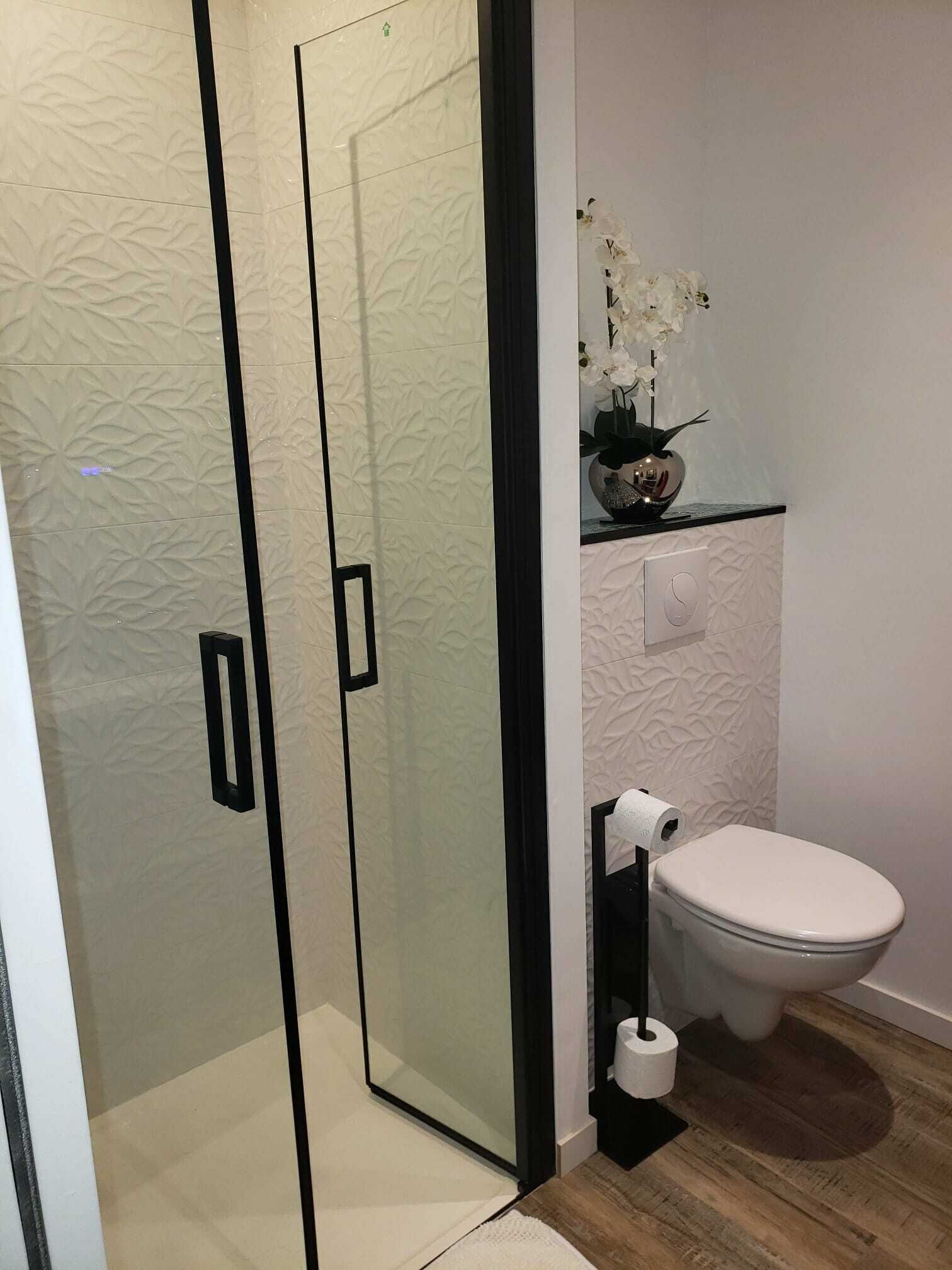 Shower, hair dryer, towels, toilet paper