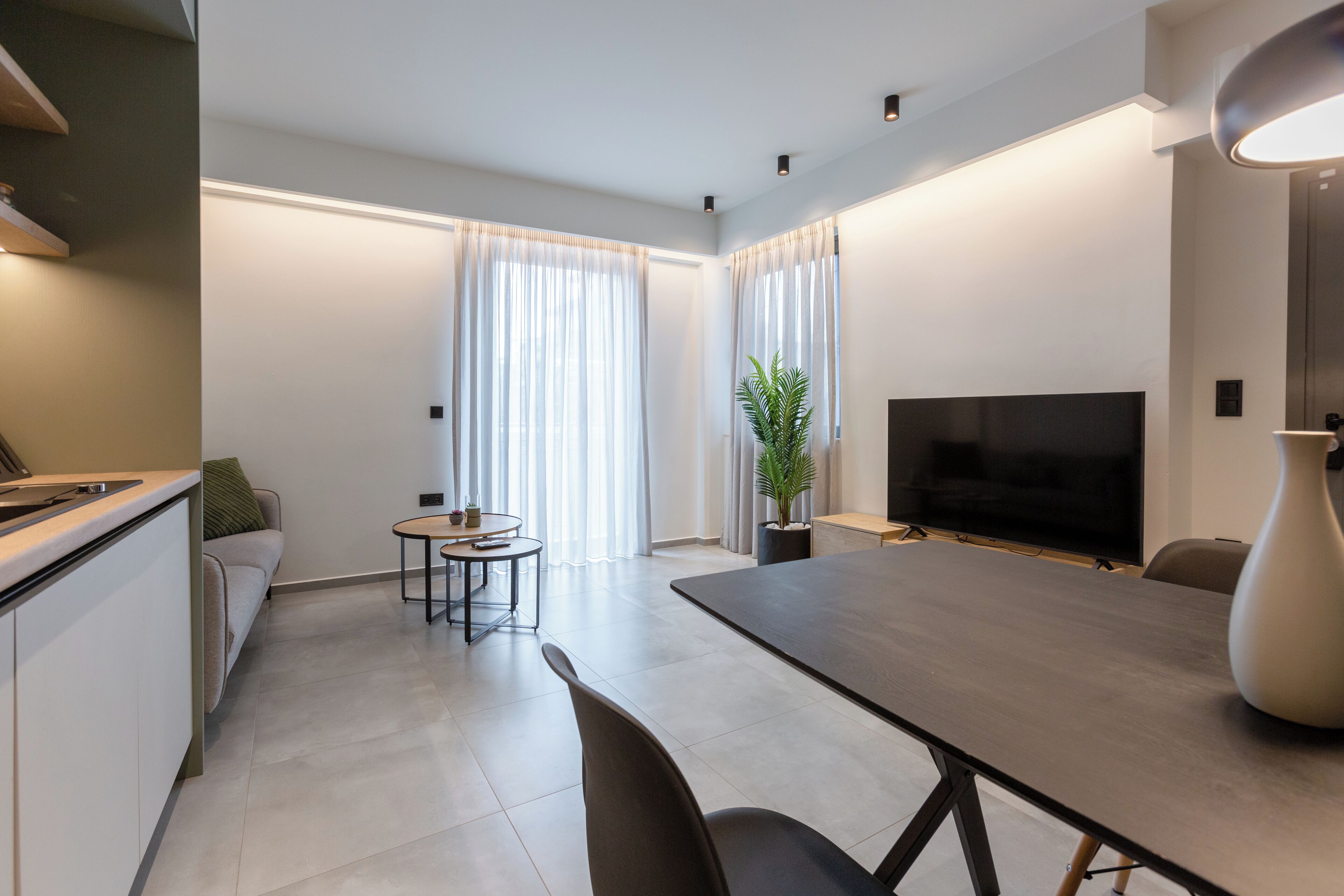 Un salon moderne avec une table à manger, un canapé, un téléviseur et une plante en pot.