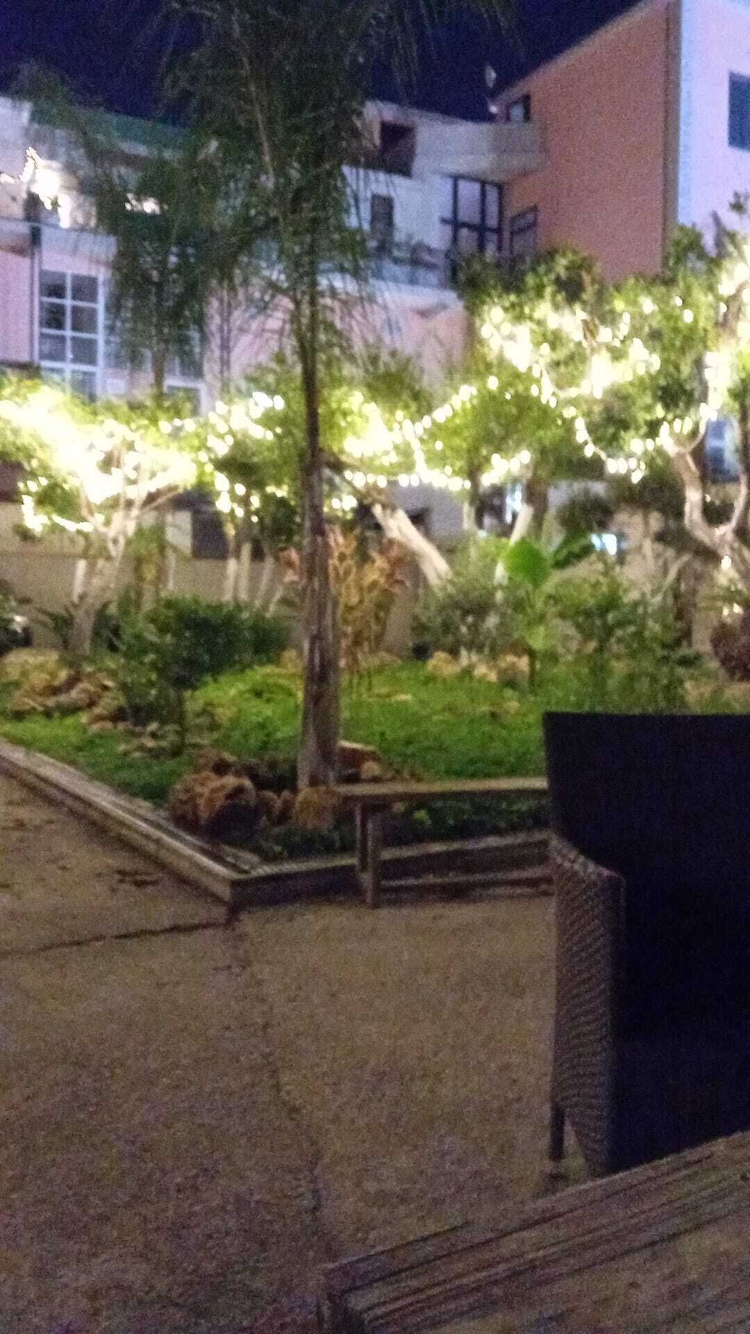 Een buitenruimte met een verhard pad, een houten bankje en een kleine tuin met bomen en planten.
