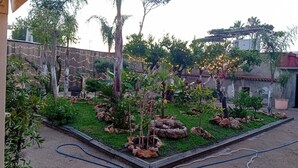 Un giardino con alberi, rocce e luci a stringa.