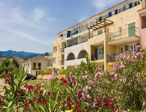 House | View from property - Sea-view Holiday Home in Solenzara (Sari-Solenzara)