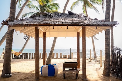 Palms and Paradise Lanka