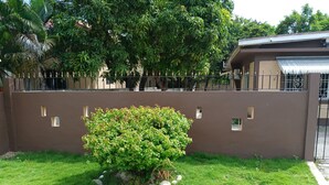 Ein gepflegter Garten mit einem Busch, einer niedrigen Mauer mit kleinen Fenstern und einem Metallgitter.
