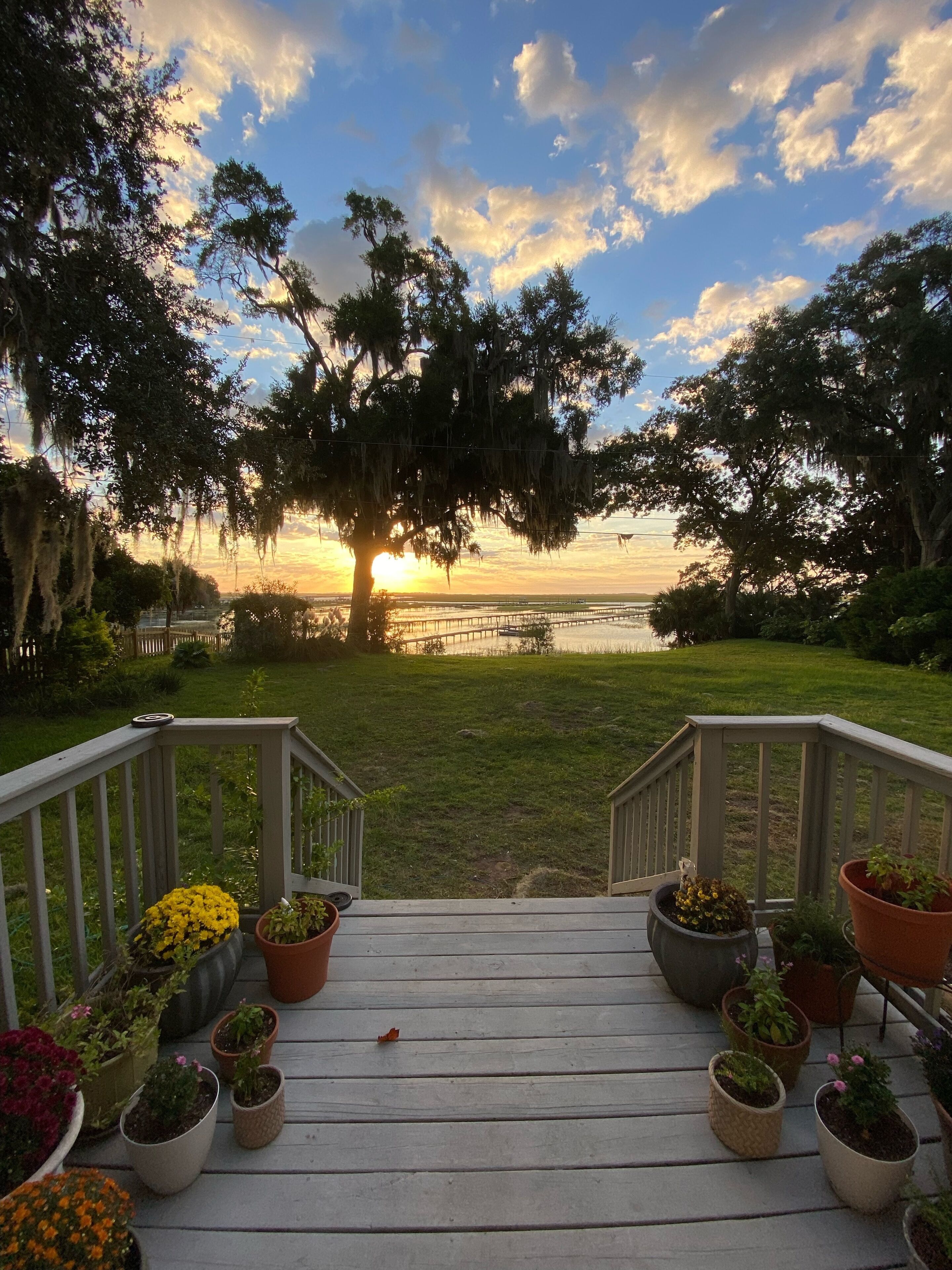 View from the back porch