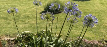 Perfectly Located House by the Sea
