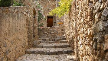 House | Property grounds