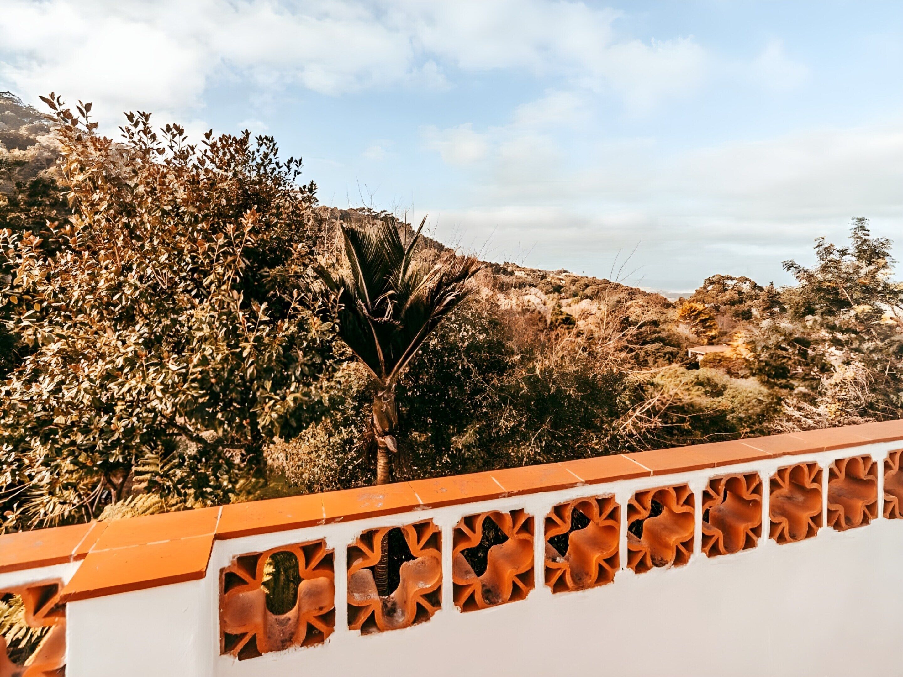 Casa | Área da propriedade