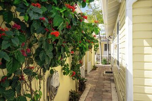 Exterior detail - Prime Downtown Location - Truman Little Cottage (Key West)