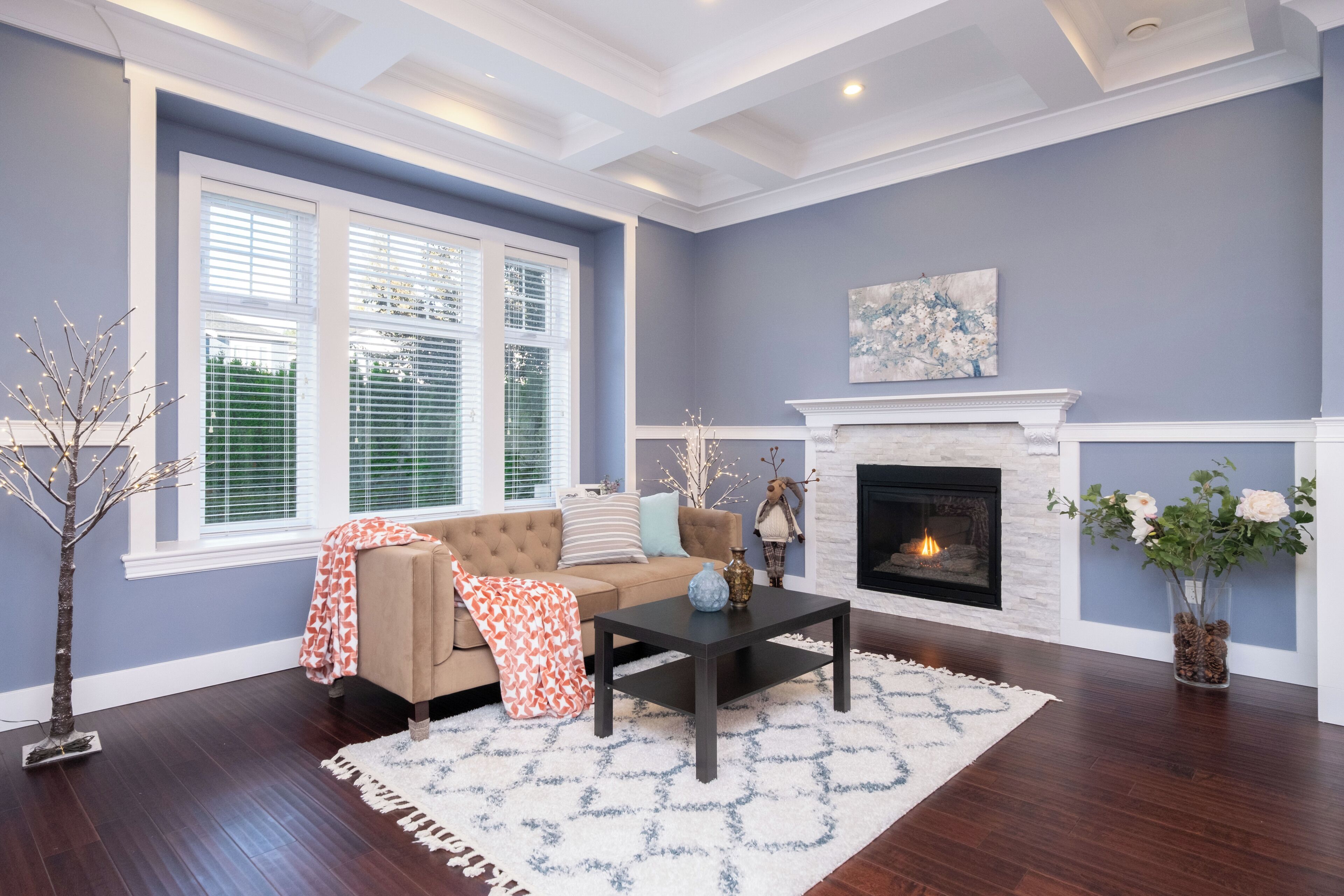 Smart TV, fireplace