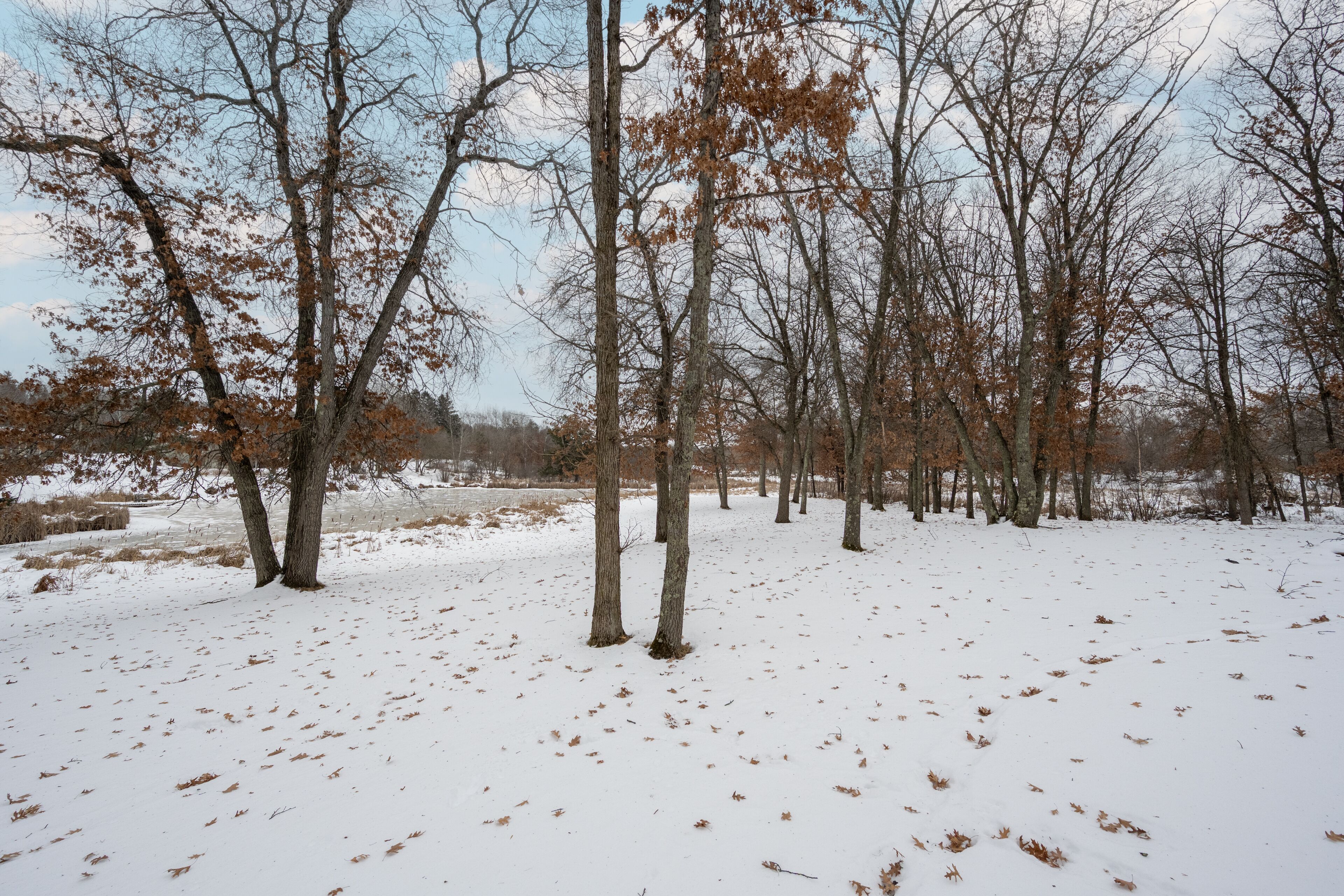 A snowy landscape with leafless trees and a clear sky.