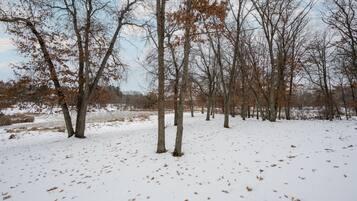 A snowy landscape with leafless trees and a clear sky.
