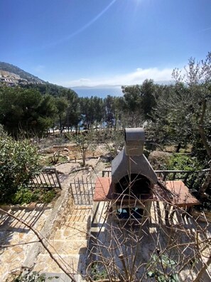 Vista desde la propiedad