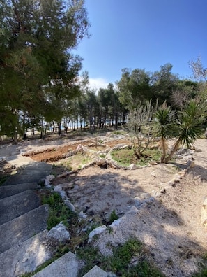 Vista desde la propiedad