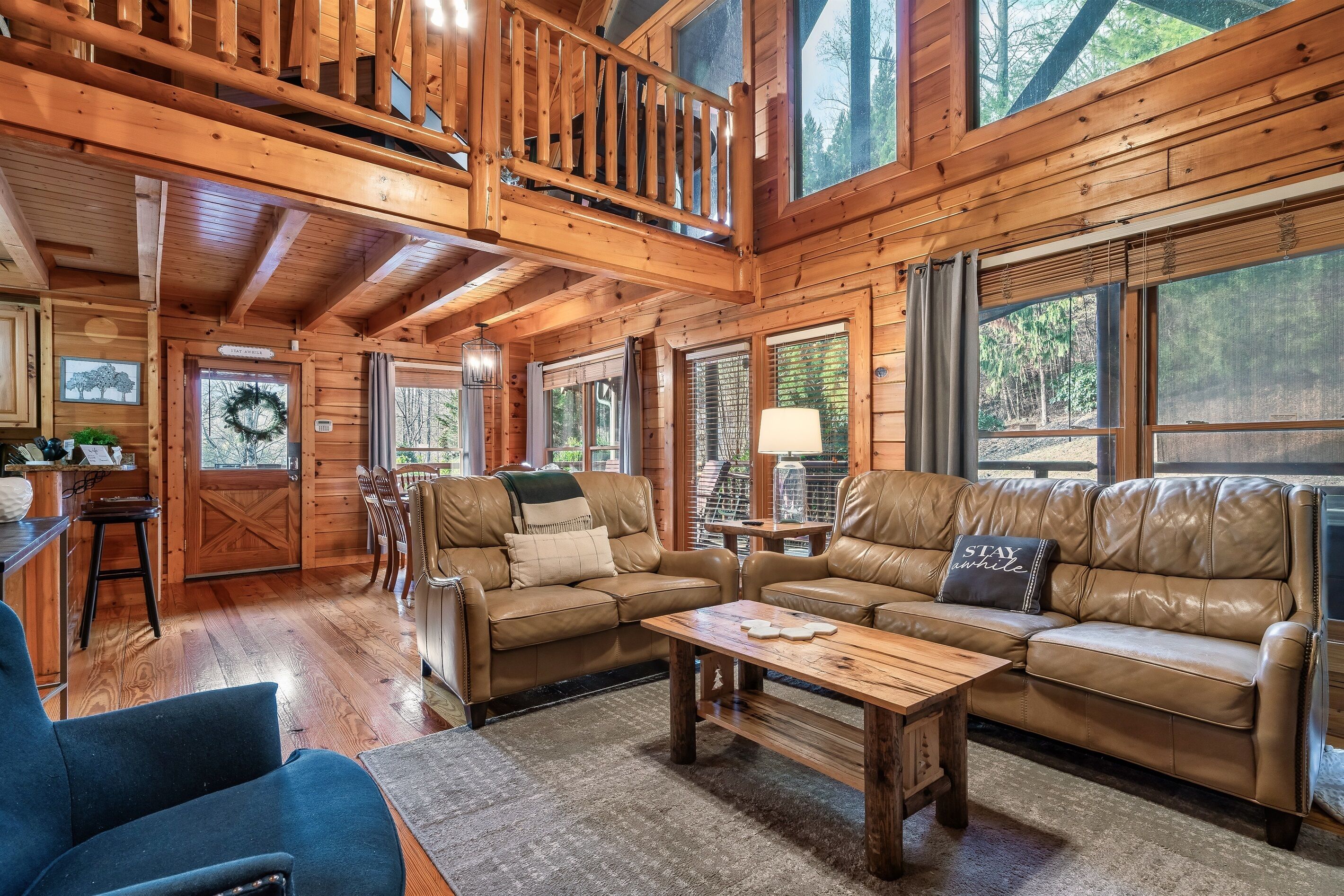 TV connect ée, cheminée, livres