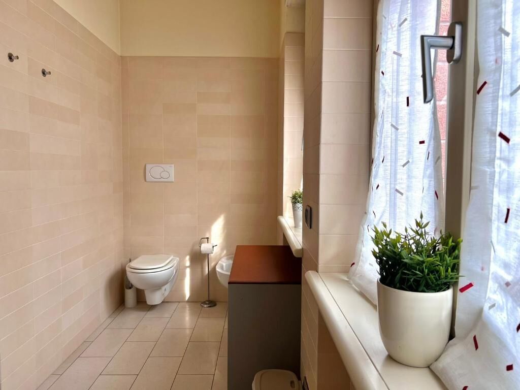Une salle de bain avec des toilettes, un petit lavabo et une fenêtre agrémentée d’une plante en pot.