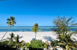 Una playa con palmeras y un cielo azul despejado.