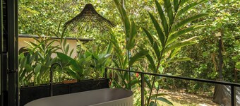 Hotel Banyan Doradal