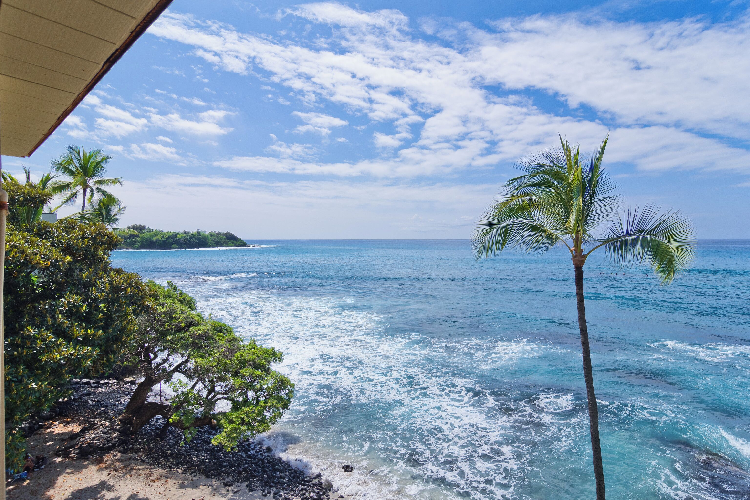 Vista de playa con cielos despejados, palmeras y olas del océano.