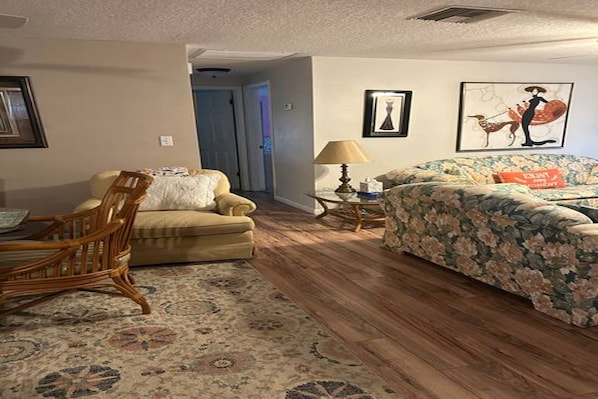 Living area - Delightful house in New Port Richey perfect for your getaway (New Port Richey)