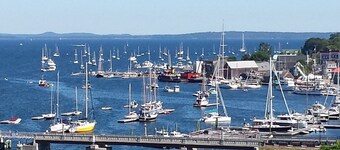 Newly renovated, pet friendly house in the heart of Belfast with large back yard