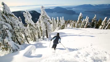 Une personne fait du ski sur une pente enneigée, avec une vue sur des montagnes et un lac en arrière-plan.