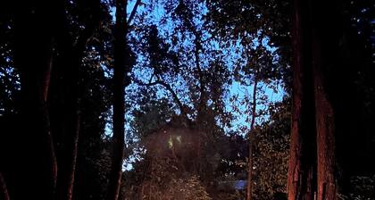 Quite 2BR• Near Capital/FSU•Wifi• Private Parking