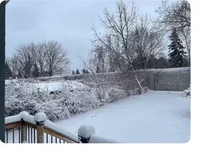 Property grounds - Giulietta & Romeo’s home. Backyard, Free parking (1st floor) (Niagara Falls)