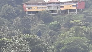 En byggnad med flera våningar och ett platt tak, omgiven av tät vegetation.