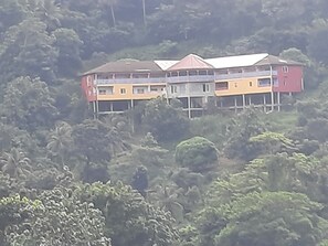 Un edificio de varios pisos con techo plano, rodeado de abundante vegetación.