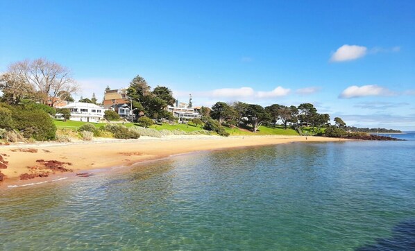 Playa en los alrededores y camastros 