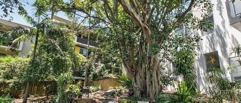 Enceinte de l’hébergement