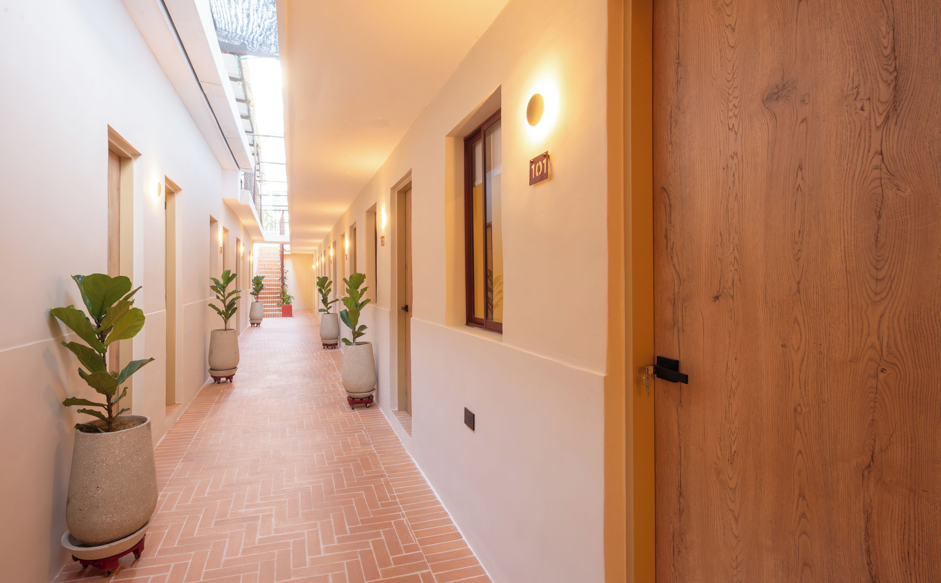 A corridor with potted plants, a wooden door, and a staircase in the background.