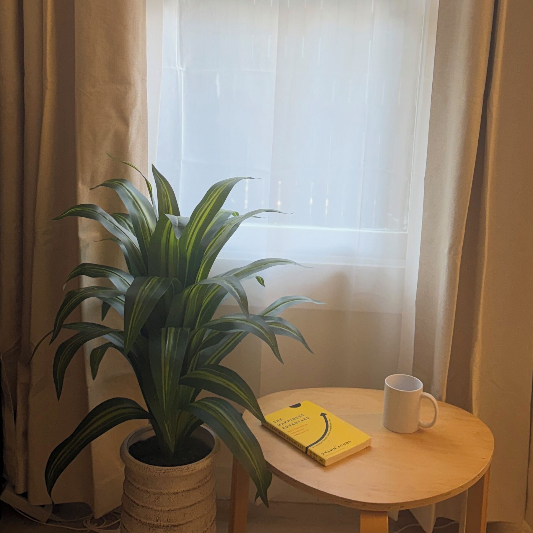 A potted plant, a book titled 'The Happiness Advantage,' and a white mug on a small wooden table.