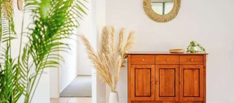Seednest Gameroom &Green Oasis