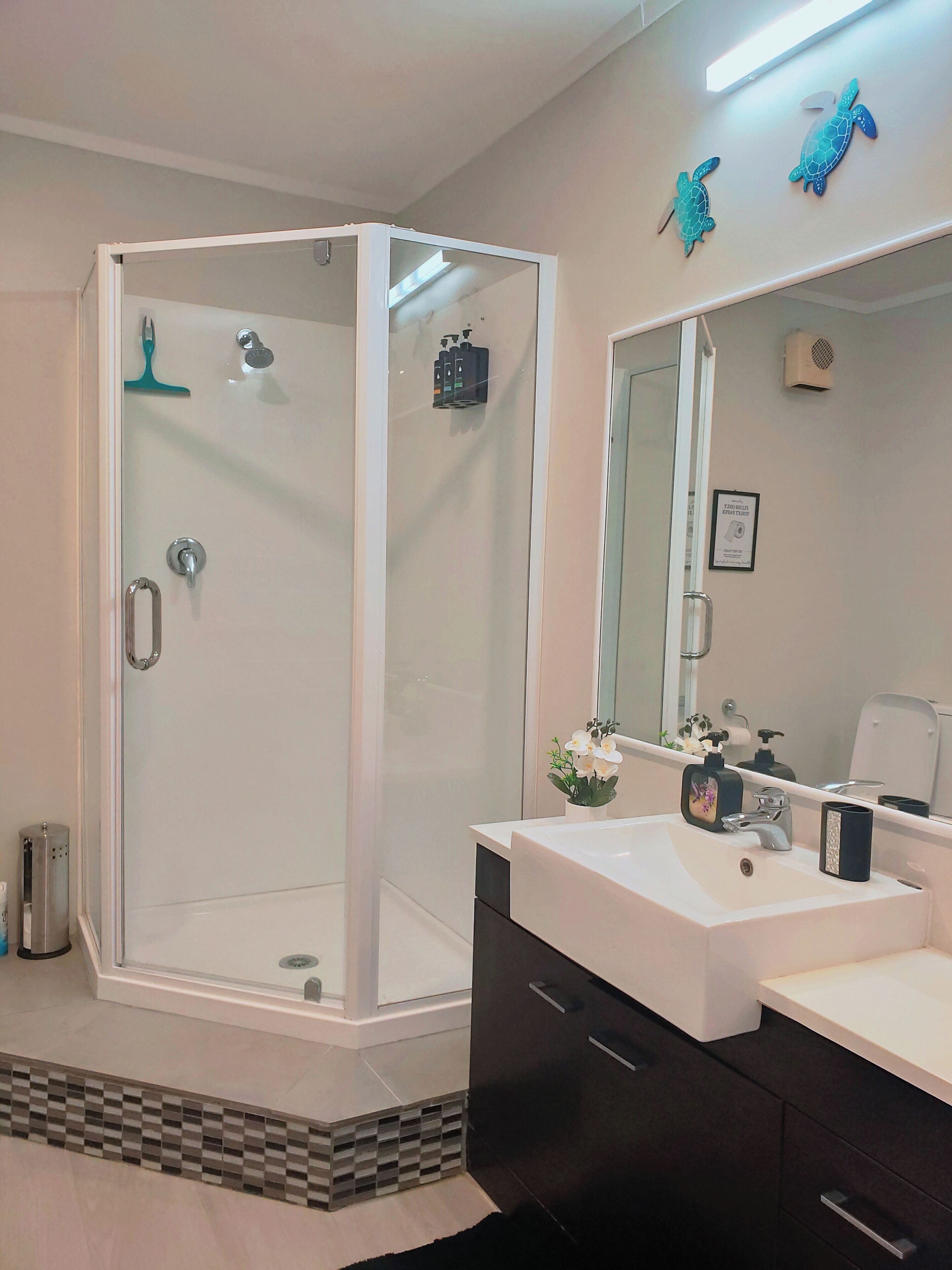 Hair dryer, towels, soap, shampoo