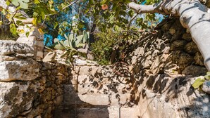 A stone structure with a narrow passageway, surrounded by vegetation and a blue wall in the background. - Rustic Dwelling by Vivimy (Ugento)