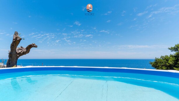 A clear blue sky, a swimming pool, and a tree.