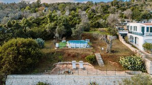 A villa with a swimming pool, surrounded by a garden and trees.