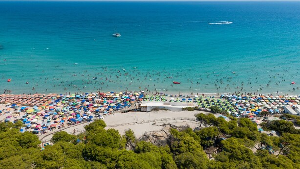 Ein Strand mit vielen Sonnenschirmen und badenden Personen.