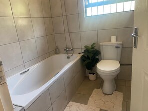 Secador de pelo, jabón y papel higiénico