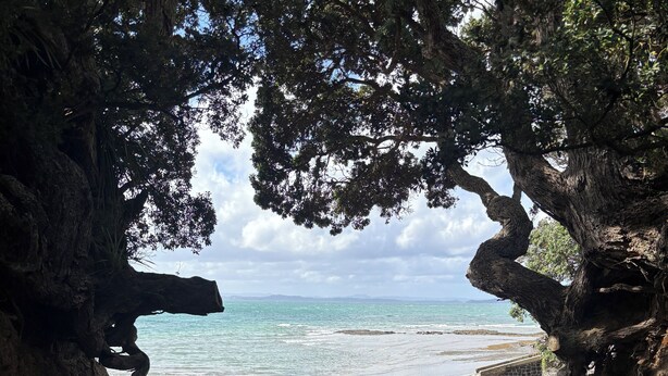 A pathway leading to a beach with a view of the sea, surrounded by rocky cliffs and trees. - Spacious Three Bedroom Coastal Apartment in Army Bay (Whangaparāoa)