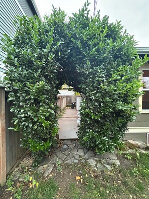 Property grounds - New Cozy Craftsman By University of Washington, Arboretum, Swedish, Seattle U (Seattle)