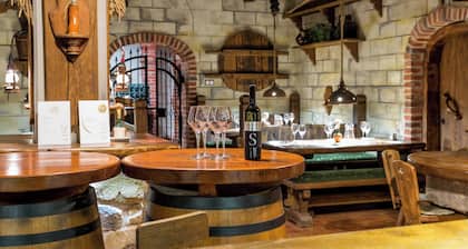 Wine & boutique hotel Terbotz