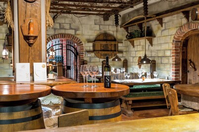 Wine & boutique hotel Terbotz